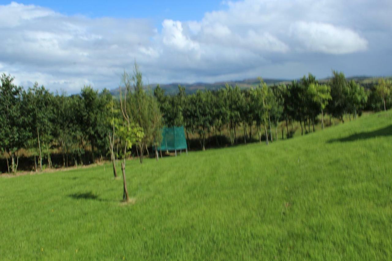 Bunlin Heights Self Catering Studio Milford Exterior foto